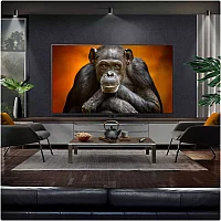 LG OLED65G56LS