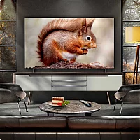 LG OLED55B56LA