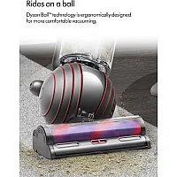 Dyson ballanimalnewup32
