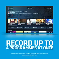 Manhattan S4R500GB