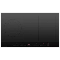 Fisher and Paykel CI905DTB4