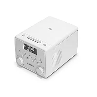 Roberts SOUND49W
