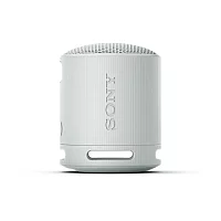Sony SRSXB100LG